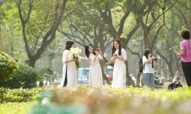 Người Hà Nội nô nức checkin phố Phan Đình Phùng đón mùa lá rụng