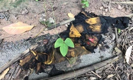 Cô gái bị bạn trai thiêu sống vì đòi chia tay