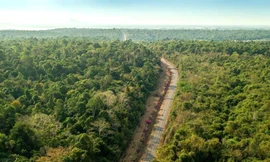 Dừng xây dựng cầu Mã Đà băng rừng nối Bình Phước và Đồng Nai