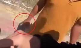 Bình Dương: Tạm đình chỉ một cán bộ CSGT có hành vi thiếu chuẩn mực