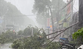 Từ nay đến cuối năm, có thể xuất hiện 12 cơn bão, áp thấp nhiệt đới trên biển