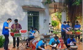 Bạn trẻ trổ tài khéo tay làm món ăn gửi tặng chốt chống dịch và khu cách ly