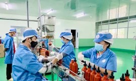 Vốn nước ngoài đổ vào Bình Phước tăng gấp 12 lần