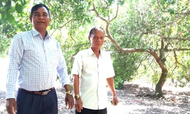 Về nơi nông dân sống biệt thự, đi ô tô thăm vườn ở Bình Dương