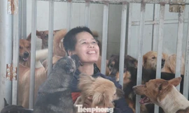 Người phụ nữ dành cả tuổi thanh xuân đi giải cứu thú cưng 