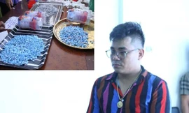 Bắt đối tượng nhận hơn 8kg ma túy từ nước ngoài gửi về Bình Dương