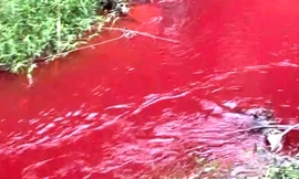 Đã tìm ra thủ phạm làm nước suối xuất hiện màu đỏ như máu ở Bình Phước