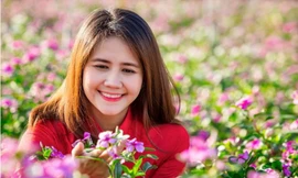 Mãn nhãn sắc Xuân trên đất Thủ ngày cận Tết