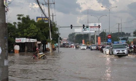 Cảnh báo triều cường đạt đỉnh, tràn bờ sông Sài Gòn