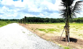 Chủ tịch tỉnh Bình Phước chỉ đạo xử nghiêm tình trạng tự ý mở đường, phân lô