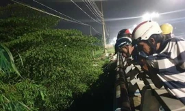 Danh tính hai thi thể nằm úp mặt dưới gầm cầu ở Bình Dương