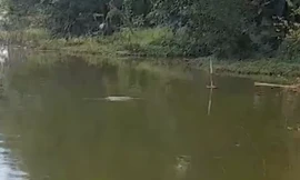 Bình Phước: Lọt vào vùng nước sâu khi tắm hồ, hai cháu bé tử vong