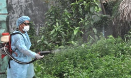 Người đàn ông tử vong sau 2 ngày nhập viện vì sốt xuất huyết