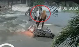 Người phụ nữ bị đấm đá túi bụi sau khi va chạm với trẻ trượt patin giữa đường