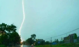 Ba người trong một gia đình thương vong vì sét đánh