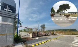 Cảnh hoang tàn khu nhà ở Đại Nam trên ‘đất vàng’ 