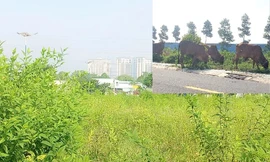 Dự án nhà ở Đại Nam từng muốn hiến 127 lô đất nhưng không ai nhận giờ ra sao?