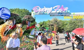 Đường hoa Bình Dương nhộn nhịp ngày Tết