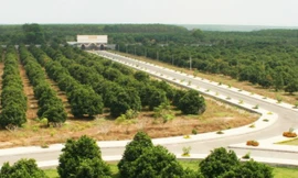 Nông trại Vinamit rộng gần 153 ha đất