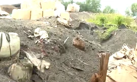 Điều tra vụ công ty môi trường chôn rác thải quy mô lớn ở Bình Dương