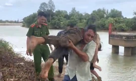 Clip: Giải cứu thiếu nữ 16 tuổi nhảy sông Đồng Nai tự tử