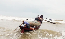 Ngư dân vượt sóng dữ kiếm ‘lộc trời’ ngày 30 Tết