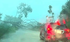 Mưa lớn kèm lốc xoáy, lở đá làm 1 học sinh bị thương ở Bình Phước