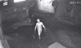 Một gia đình liên tiếp bị 'khủng bố' chất bẩn, chuyển nơi ở vẫn không yên 