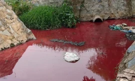 Con suối xuất hiện màu đỏ như máu ở Bình Dương