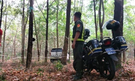 [VIDEO] Diễn biến toàn bộ vụ giám đốc sát hại nữ kế toán ở Bình Dương