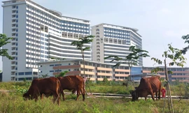 Bệnh viện lớn nhất Bình Dương bao giờ hoạt động?