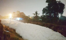 Lộ nguyên nhân khiến hàng loạt kênh, suối ở Bình Dương bị phủ 'tuyết trắng'