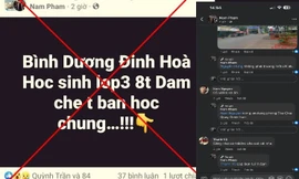 Bình Dương tìm người tung tin đồn ‘học sinh lớp 3 đâm chết bạn’