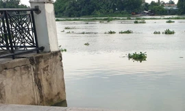 Phát hiện thi thể phụ nữ ở bến Bạch Đằng Bình Dương