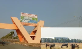 Cận cảnh khu công nghiệp ‘đắp chiếu’ 16 năm ở Bình Dương