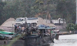 Hàng loạt bến thủy hoạt động trái phép ở Bình Dương bị xử lý