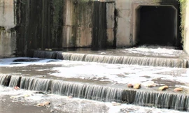 Con suối ở Bình Dương liên tục đổi màu lạ