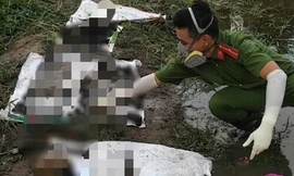 Phát hiện 4 bộ xương người trồi lên ở khu đất gần sông Sài Gòn 