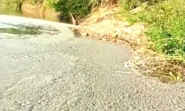 Tìm ra nguyên nhân khiến mặt nước Sông Bé trông như lớp bê tông đông cứng