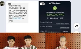 Công an Bình Dương bắt nhóm chuyên dàn cảnh mua hàng để chiếm đoạt