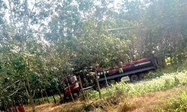 Kinh hãi phát hiện tài xế tử vong trong cabin xe ben đậu ven đường