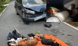 Trộm chó lái ô tô lao thẳng vào tổ tuần tra chốt chặn