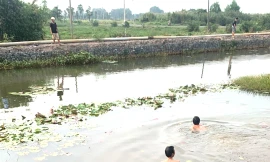 Lội xuống rạch hái hoa súng, thanh niên 18 tuổi tử vong