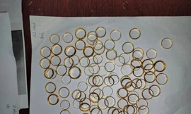 Hai chị em ‘nữ quái’ mang vàng giả đi cầm cố, chiếm đoạt hơn nửa tỷ đồng