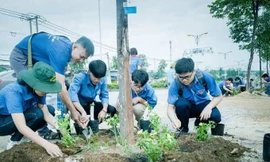 Tuổi trẻ Bình Dương ‘tô sắc’ đường phố dịp cuối tuần