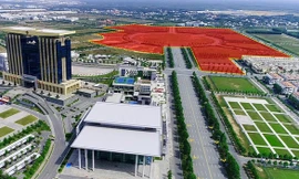 Đại diện duy nhất của Việt Nam được thế giới vinh danh thành phố thông minh tiêu biểu?