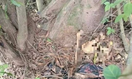 Phát hiện bộ xương người bên bờ kênh ở Bình Dương