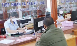 Kỷ luật Giám đốc Công ty TNHH MTV cao su Bình Phước