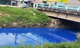 Nước kênh trong khu công nghiệp ở Bình Dương đổi màu xanh kỳ lạ