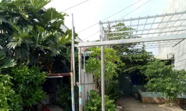 Chủ tịch phường xác nhận sai hiện trạng đất, người dân dính 'quả đắng'